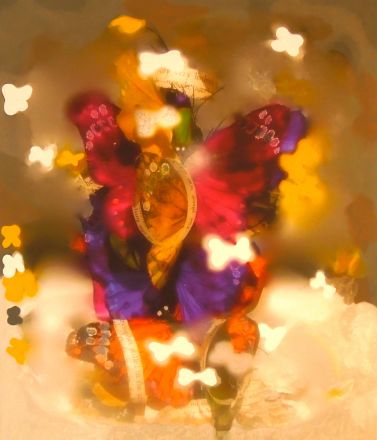 Fragments - 2013<br /><br /><h6>Nabokovâ€™s Butterflies 4</h6>  Mixed Media (Artistâ€™s own photography printed on canvas, and acrylic paint) <br /> 650mm x 760mm H <br /><br /><br /><br /><br /><br /><br /><h7>Sold</h7>